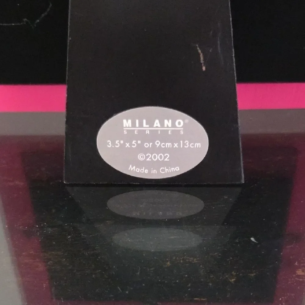 Pink Photo Frame with Insect Clips